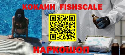 тгк Гусев