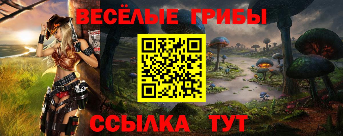 Галлюциногенные грибы Magic Shrooms Саяногорск